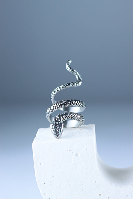 Coiled Snake